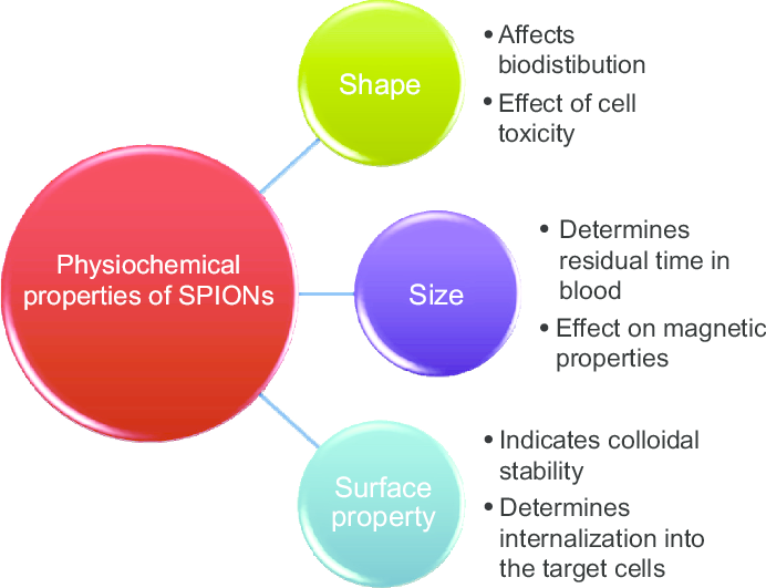 Superparamagnetic iron oxide nanoparticles: Magnetic nanoplatforms as drug carriers" published by Muhammad Wahajuddin and Sumit Arora in 2012