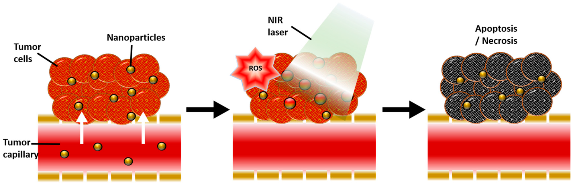 "Near-Infrared-Responsive Cancer Photothermal and Photodynamic Therapy Using Gold Nanoparticles" published by Hyung Shik Kim and Dong Yun Lee in 2018