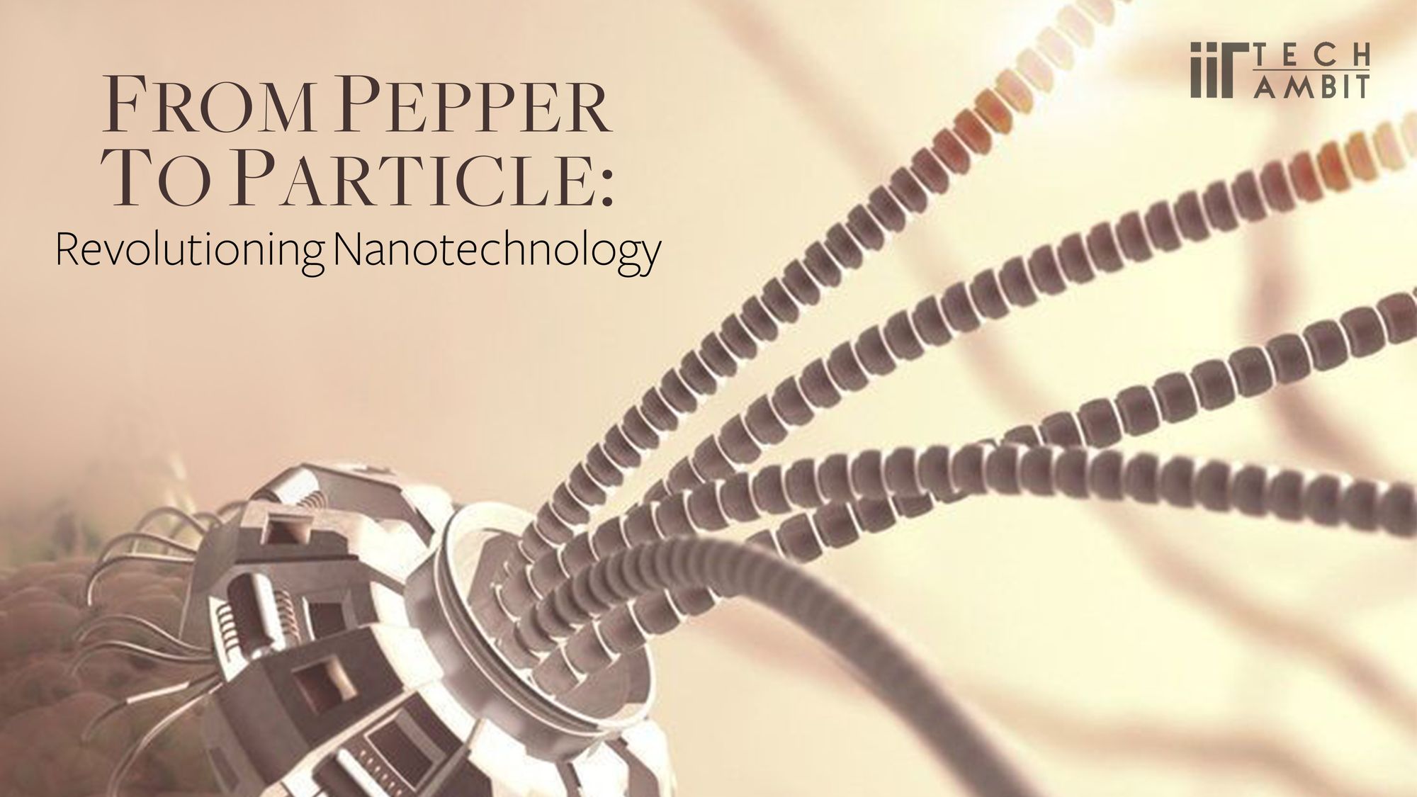 From pepper to particle: Revolutionising Nanotechnology