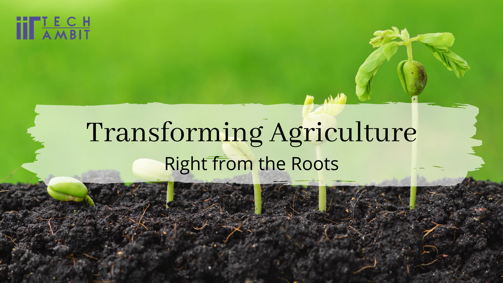 Transforming Agriculture - Right from the Roots