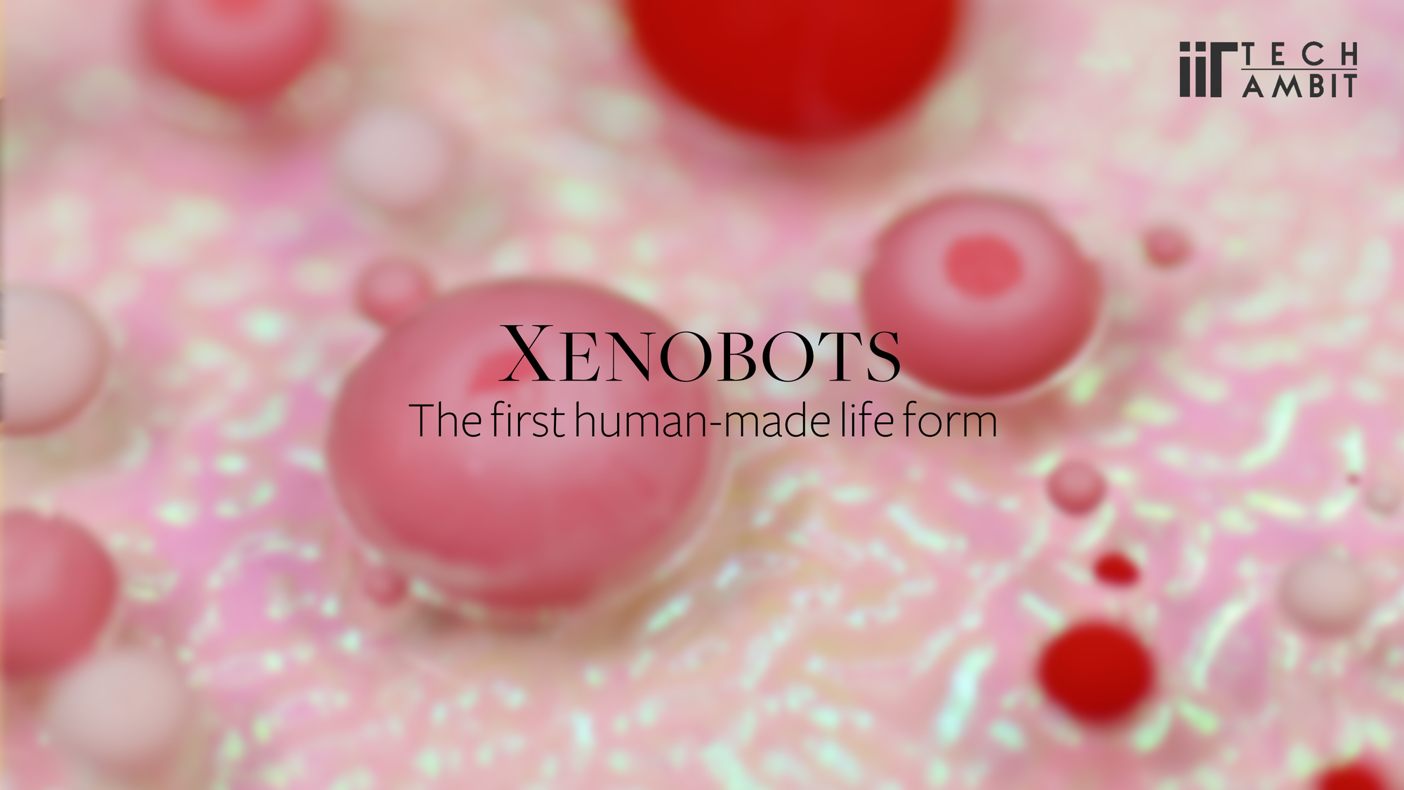 Xenobots                                   The first human-made life form