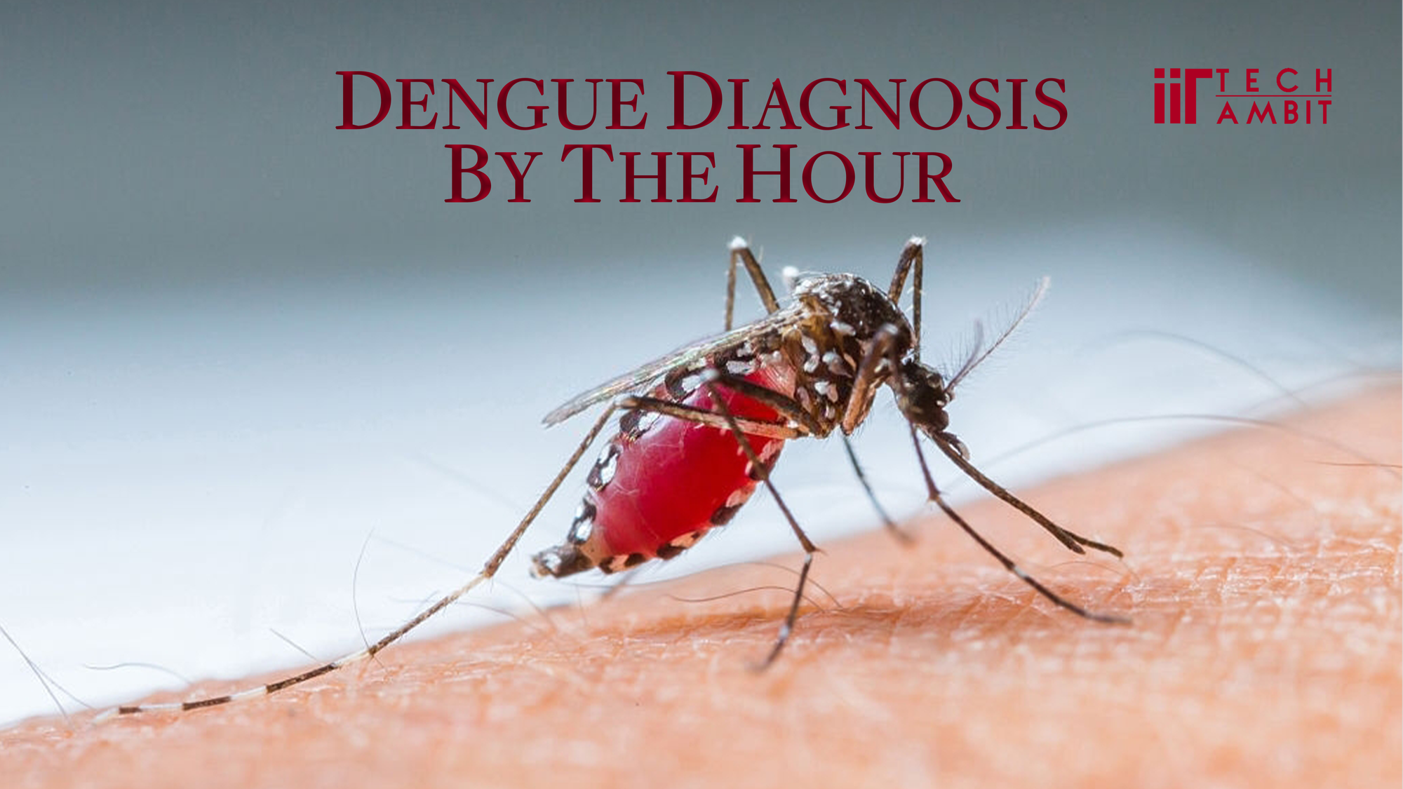 Dengue Diagnosis By The Hour