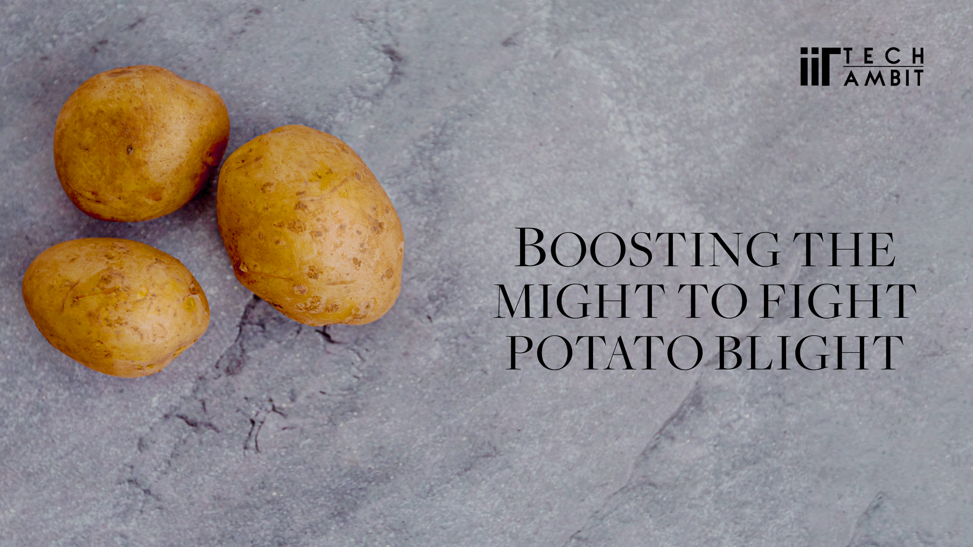 Boosting the Might to Fight Potato Blight