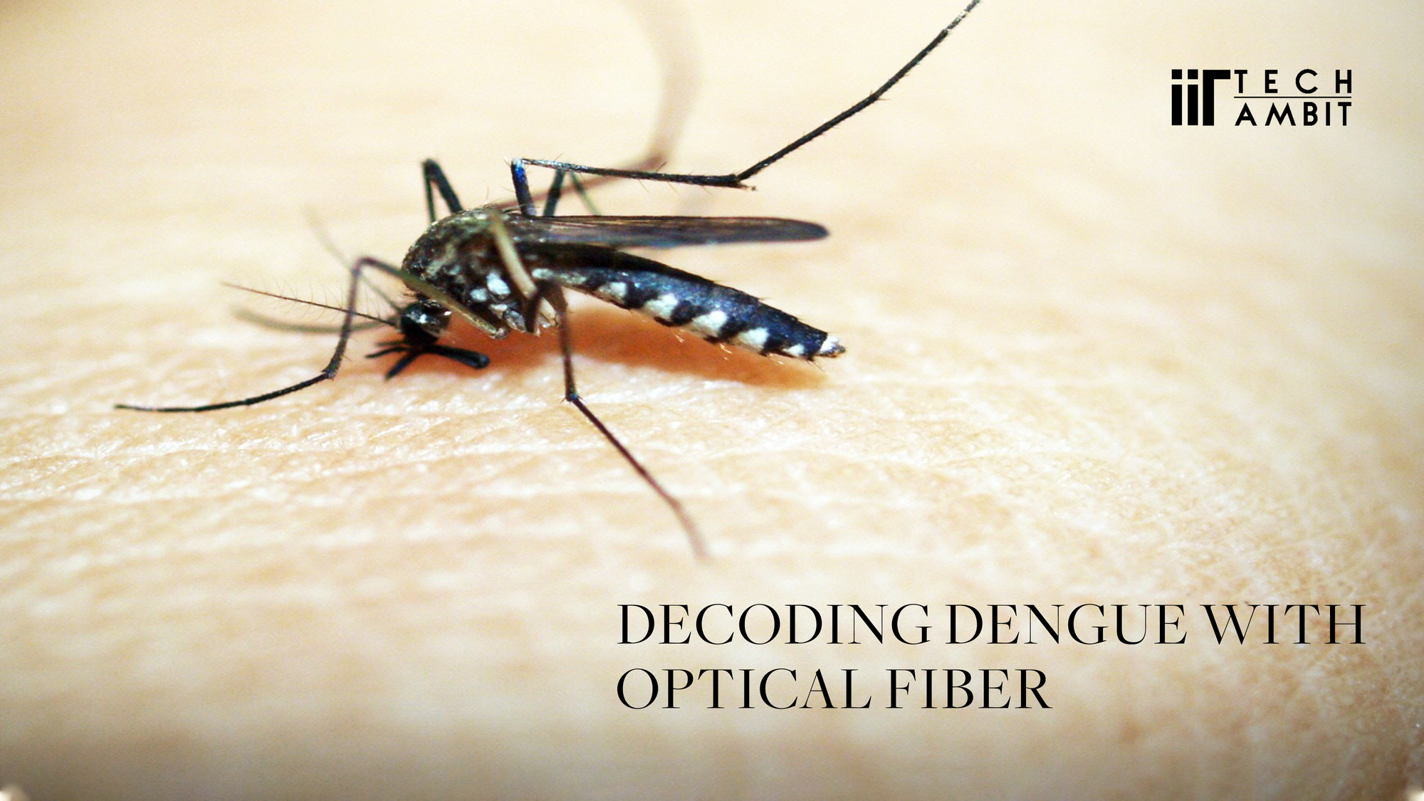 Decoding Dengue with Optical Fiber