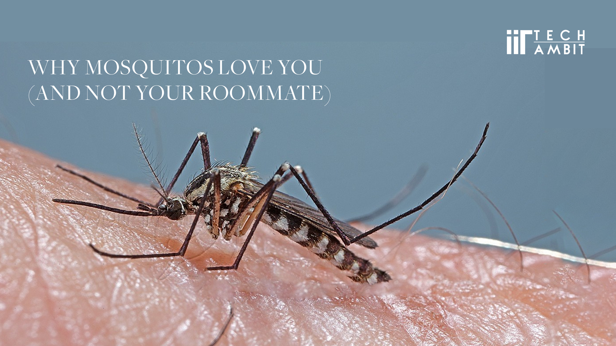 Why Mosquitos Love You (And Not Your Roommate)