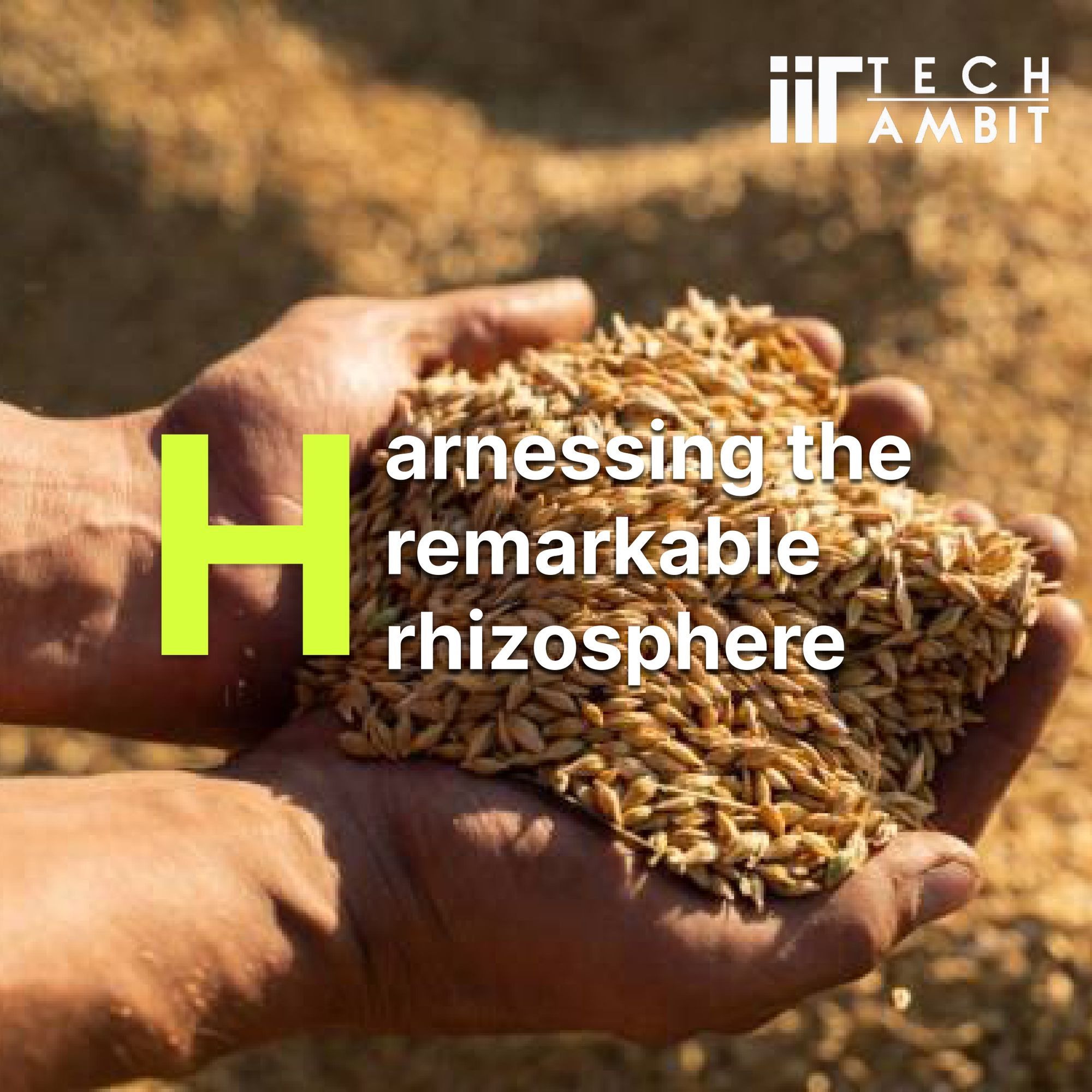 Harnessing the remarkable rhizosphere