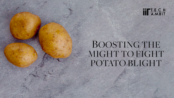Boosting the Might to Fight Potato Blight