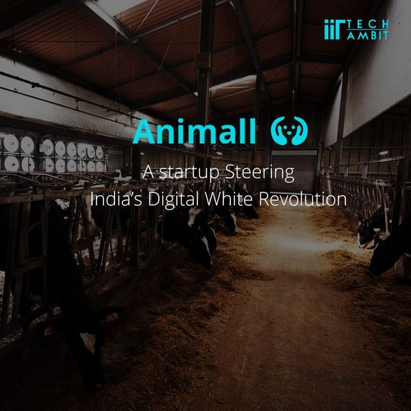 Envisioning India's Digital White Revolution with Animall