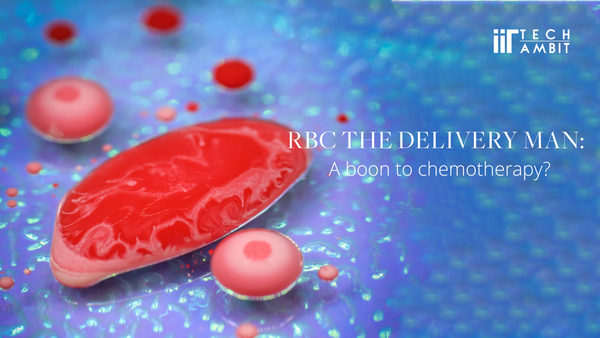 RBC the delivery man: a boon to chemotherapy?