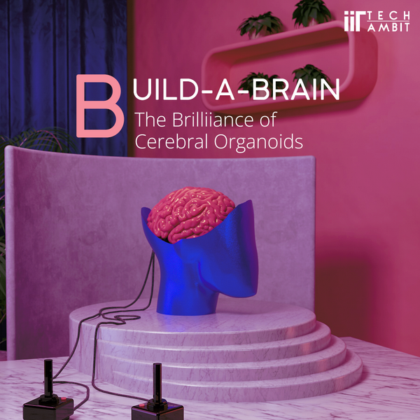 Build-a-Brain: The Brilliance of Cerebral Organoids